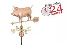 polished copper country pig weathervane with ships within 24 hours logo