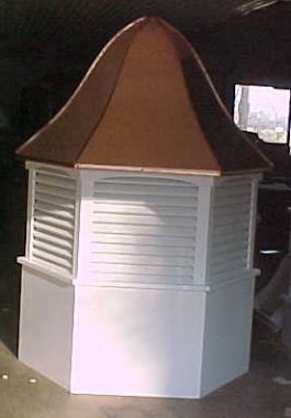 watsonia cupola